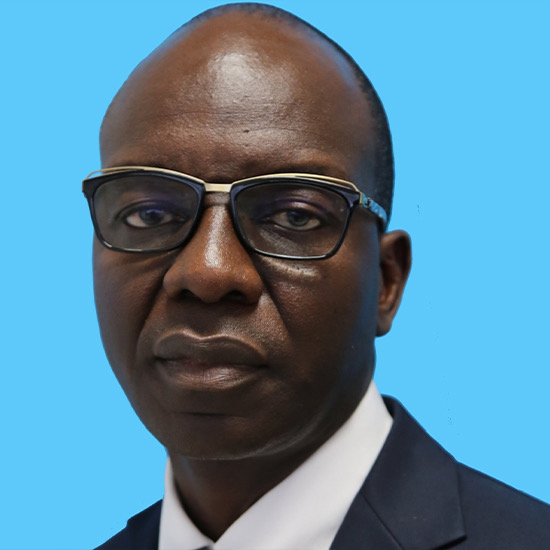 Prof. Mohamed Janabi